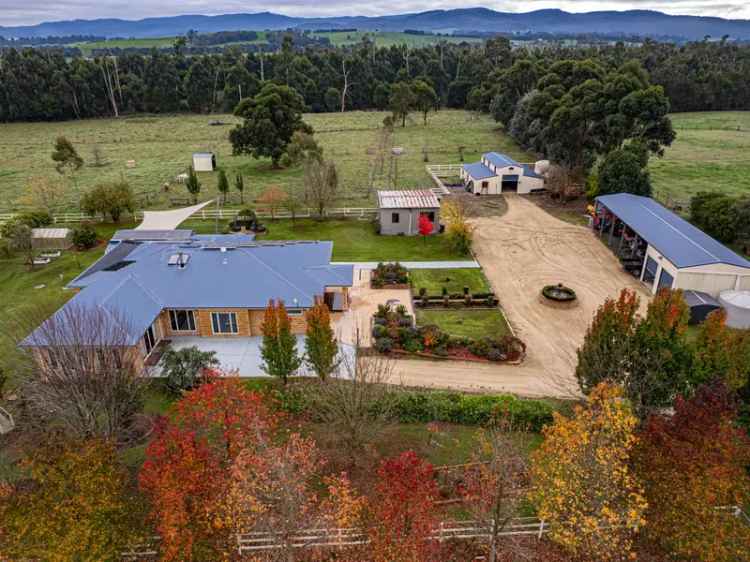 LARGE HOME, 15 ACRES, QUALITY EQUINE IMPROVEMENTS