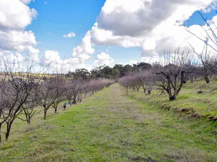 Rural For Sale in Young, New South Wales