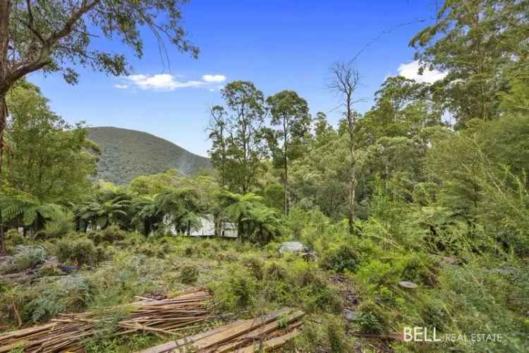 Buy Land with Stunning Mountain Outlook in Warburton