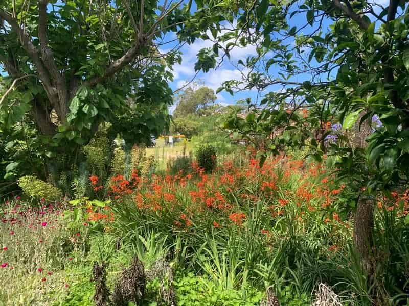 Buy Land in Mallacoota with Family-Friendly Features