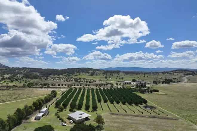 House For Sale , Tenterfield, New South Wales