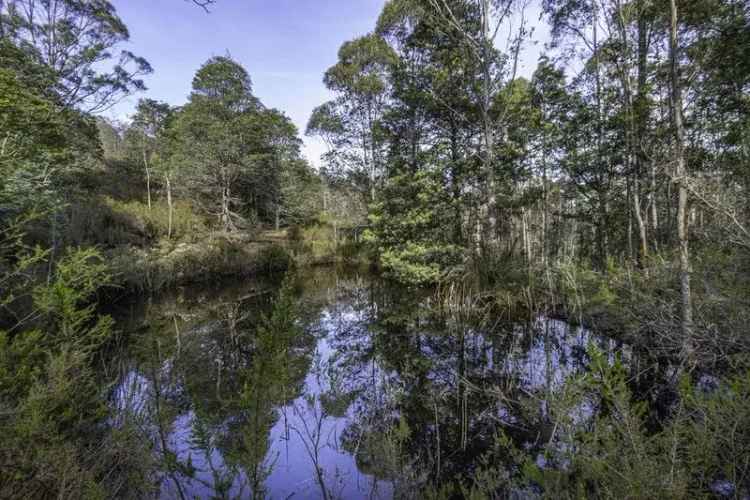 Tranquil Setting Ready to Explore