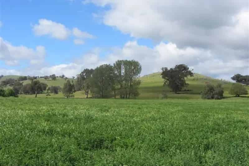 Rural property For Sale , 248, Sheans Creek Road, Shire of Strathbogie, Victoria