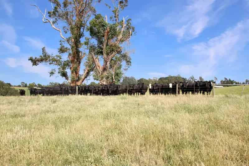EXCEPTIONAL 108.5 ACRES ON THE EDGE OF TOWN!