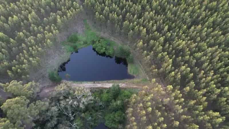 Rural property For Sale , Shire Of Manjimup, Western Australia