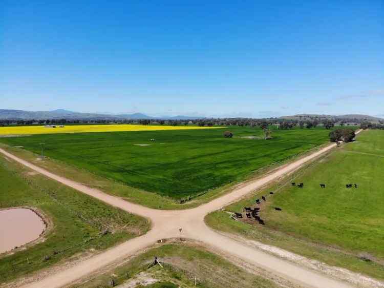 Exceptional Farming & Lifestyle Opportunity - Over 100 Acres with Stunning Views