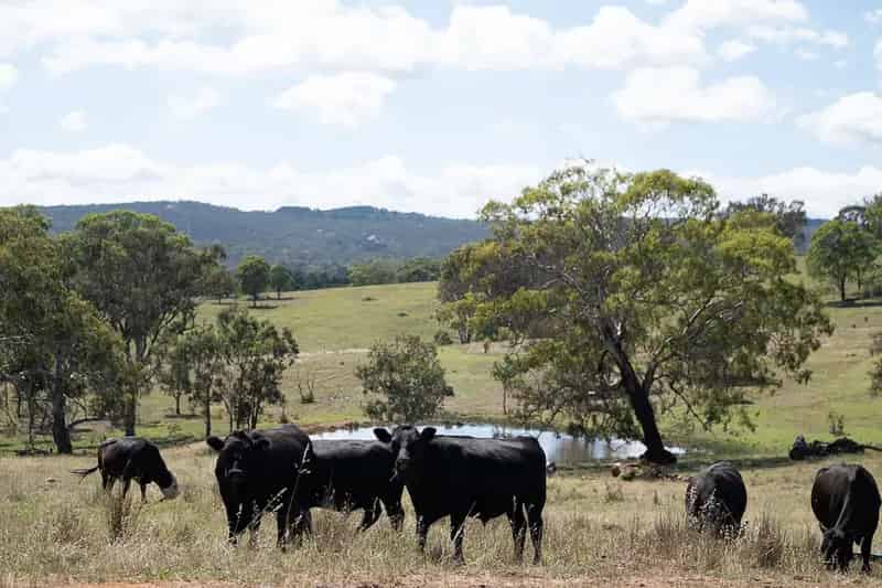 Land For Sale , Sutton, New South Wales