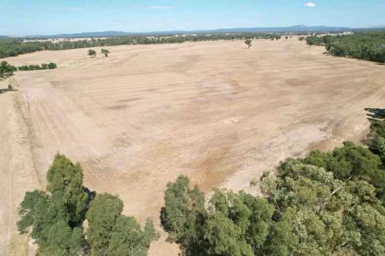 89.54 Hectares Rural Allotment with Creek Access and Red Gums