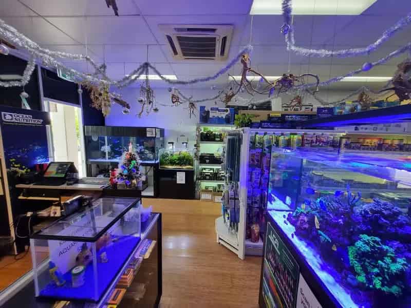 UNDER OFFER - Boutique Aquarium Shop plus ONLINE – Springfield Lakes, QLD