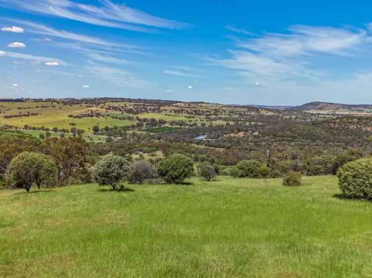 56 Acre Property with Avon River Views Walkley Heights Estate