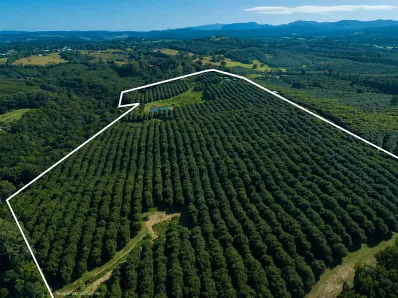 Dunoon NSW 2480 - Rural For Sale