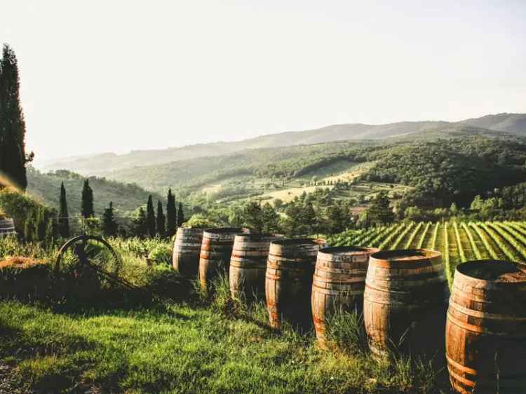 Premier Cool-Climate Vineyard and Winery in Tasmania