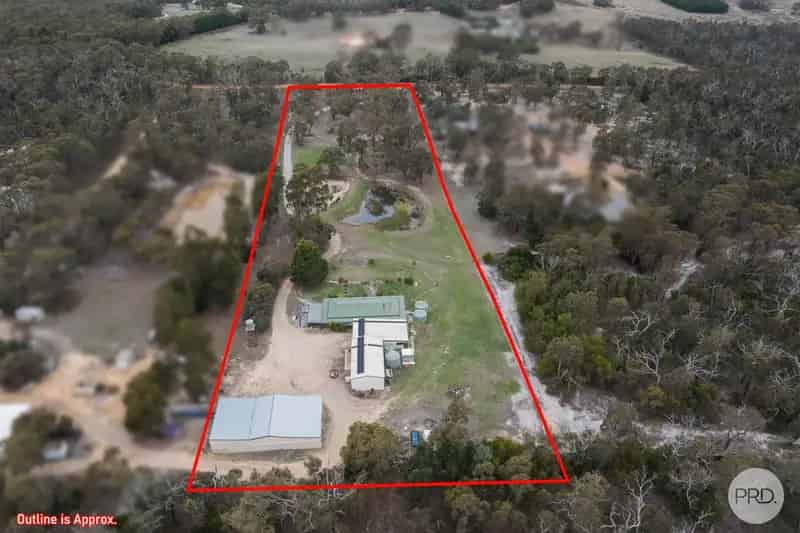 Peaceful Country Living with Extensive Shedding on 5 Acres