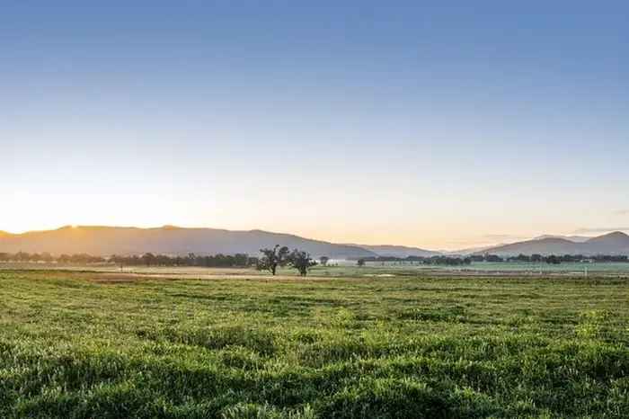 Land For Sale in Mid-Western Regional Council, New South Wales