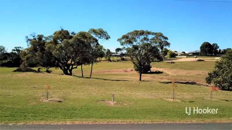 'Acreage Allotment'