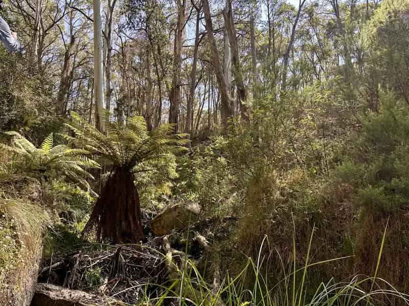 Rural property For Rent , Queanbeyan-Palerang Regional Council, New South Wales