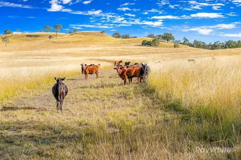 "Charming Lifestyle Acreage with Modern Amenities and Farming Potential"