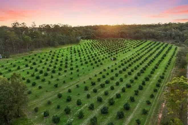 Rural property For Sale , Somerset Regional, Queensland