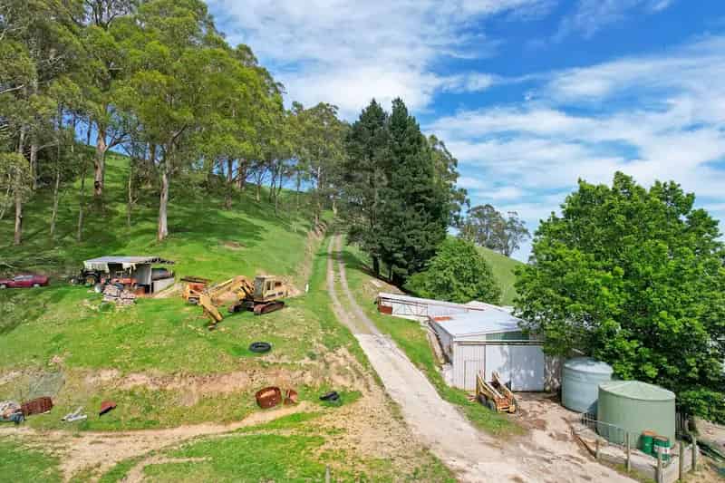 Buy Grazing Land in Seaview District with Scenic Views and Expansive Shedding