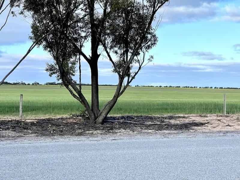 Vacant Block @ top end of Wudinna