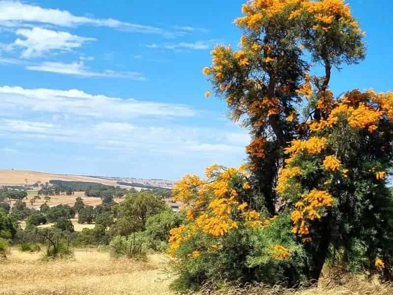 Land For Sale , Shire Of Gingin, Western Australia