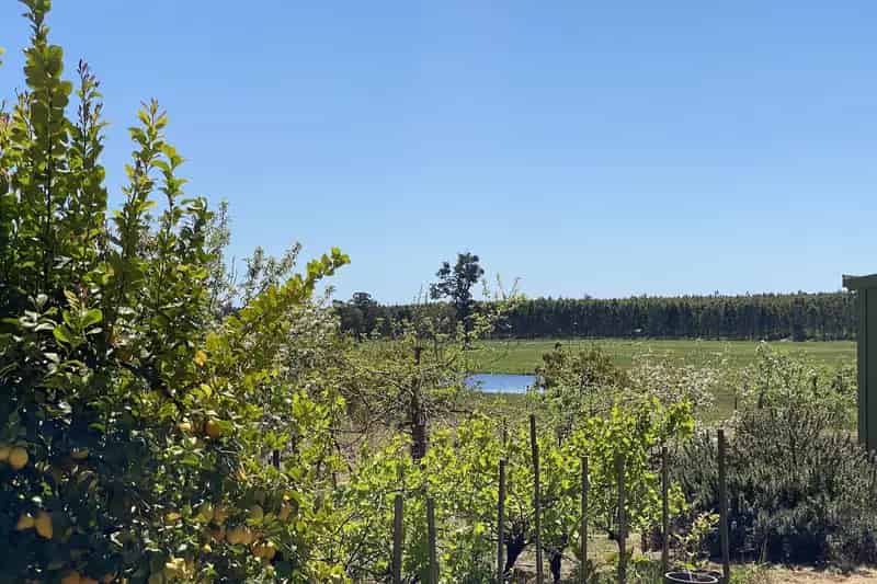 Rural property For Sale , Shire Of Manjimup, Western Australia