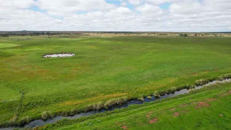 Rural For Sale in Shire of Moyne, Victoria