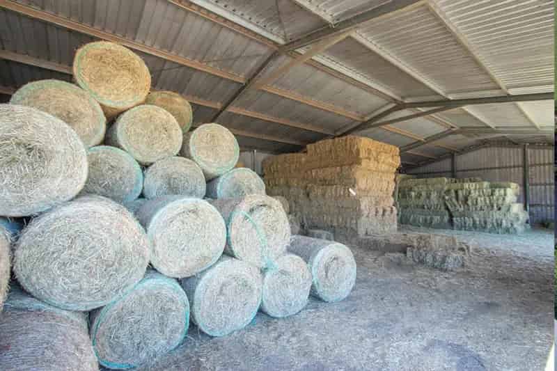 Buy Feed Shed Stockfeed Produce Business and Freehold Property in Lockyer Valley