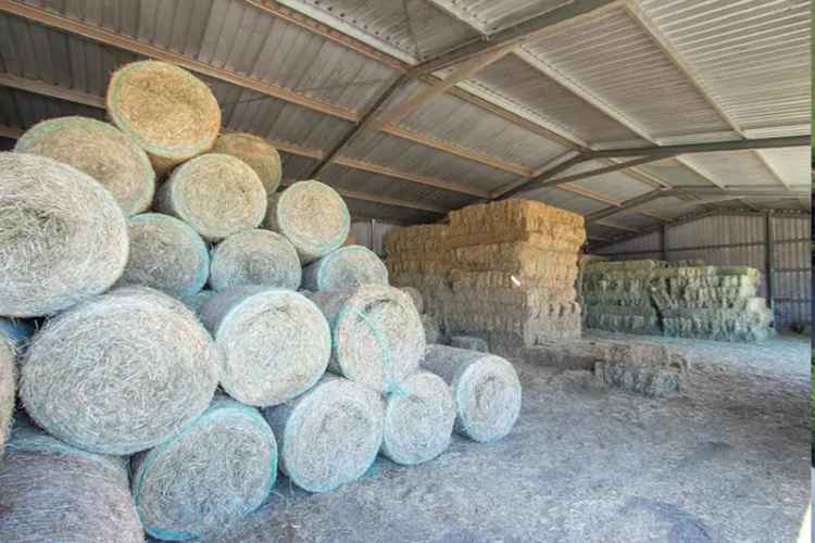 WRT Feed Shed - Stockfeed & Produce