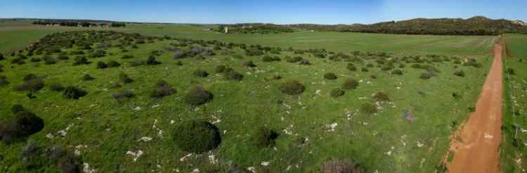 Buy Land in Geraldton 30 Hectares with Arable Land and Road Frontage