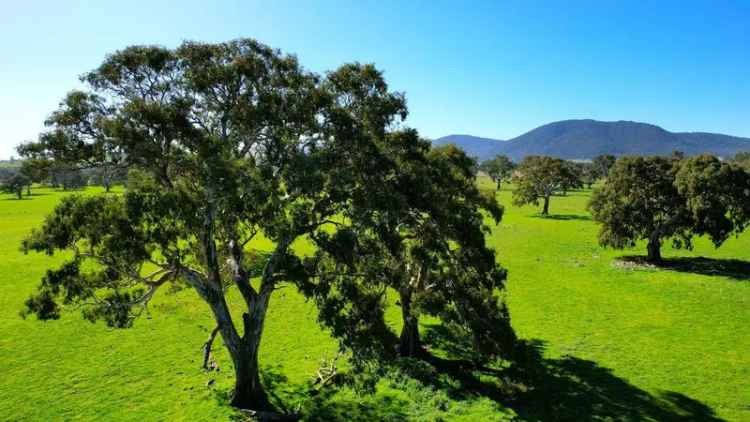 Rural For Sale in Shire of Pyrenees, Victoria