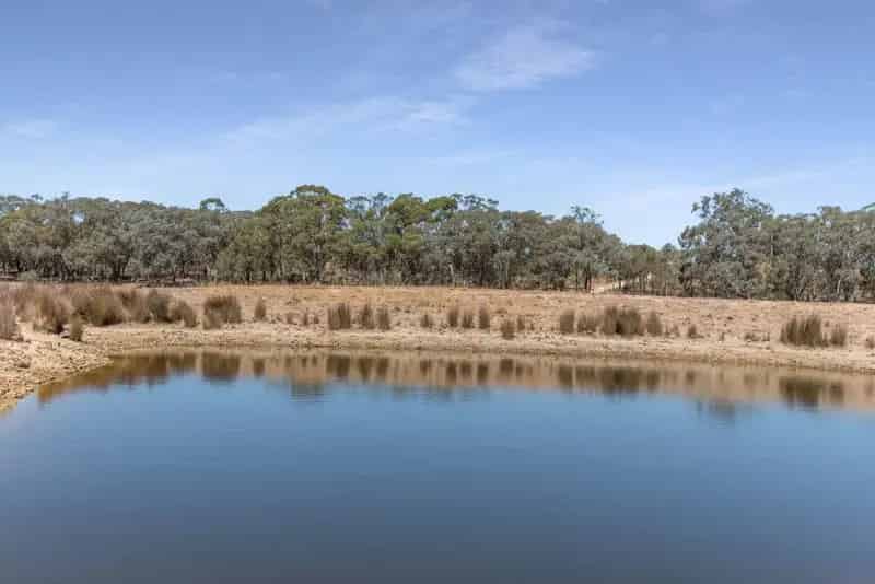 Grazing property for sale with potential on Dairy Flat Road