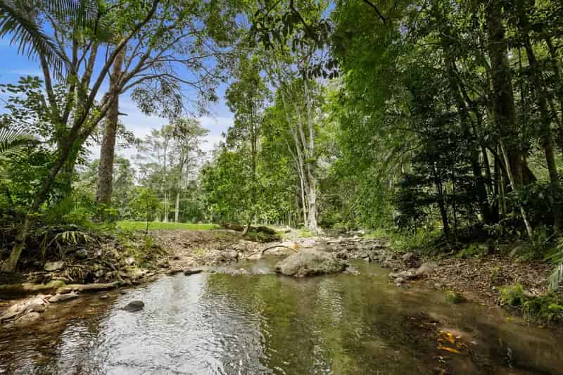 Magical Rainforest Property.
