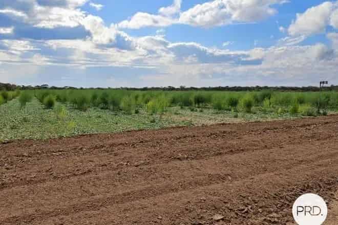 Rural property For Sale , Rural City of Mildura, Victoria