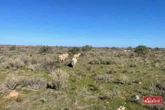 Land For Sale , Dublin, South Australia