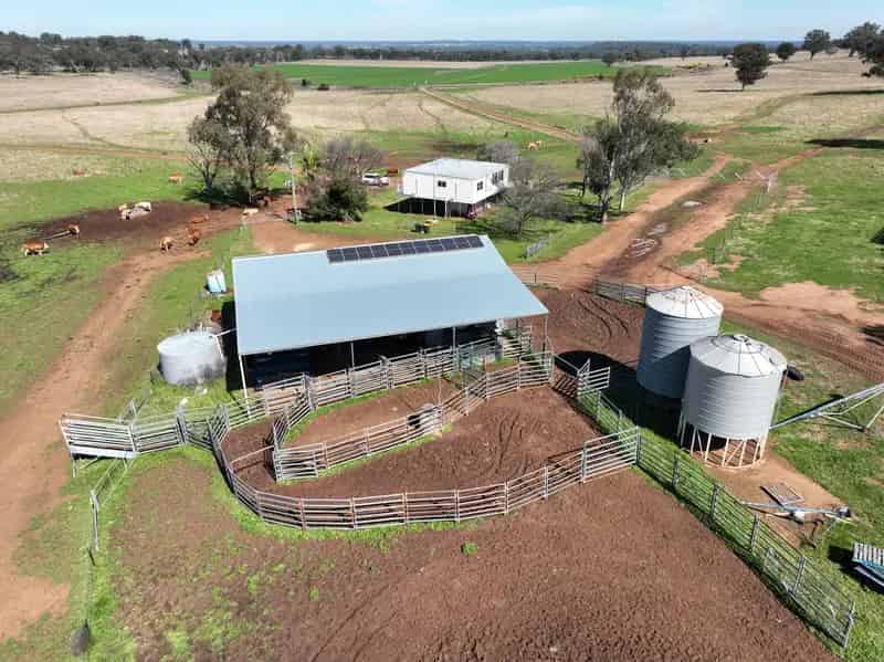 Outstanding Central West Mixed Farming