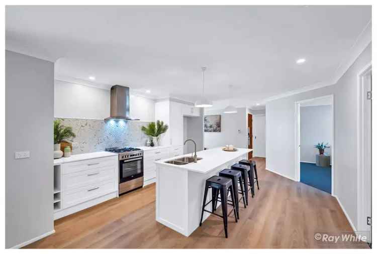 Elevated, Renovated: Stunning 4 Bedroom Family Home