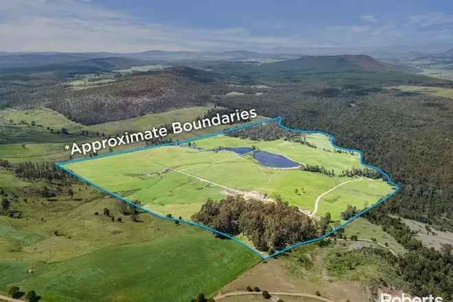 Acreage For Sale in Sassafras, Tasmania