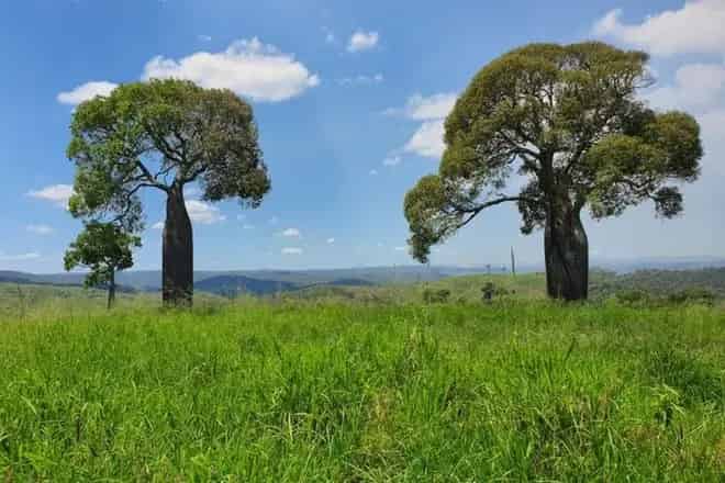 Rural property For Sale , North Burnett Regional, Queensland