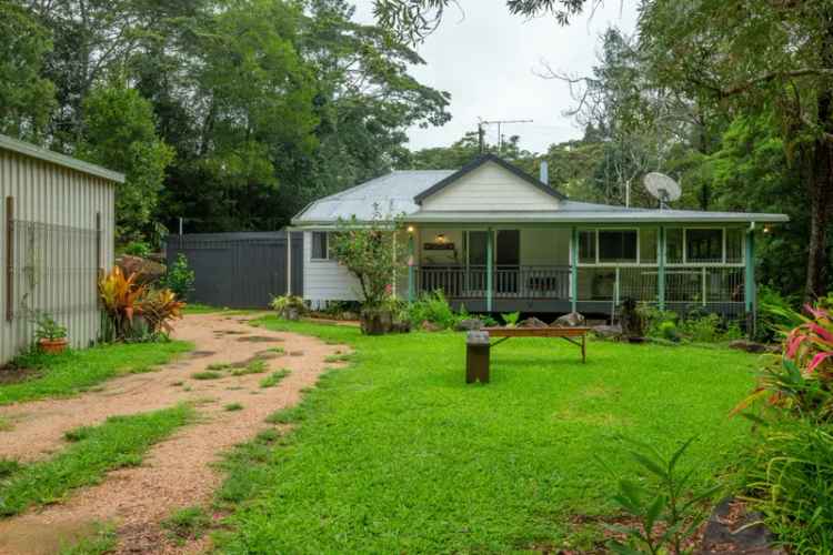 Rent Queenslander Home in Lush Rainforest Near Atherton