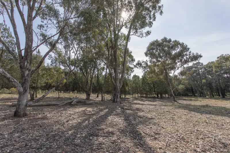 Land For Rent , Cowra, New South Wales