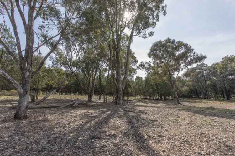 113 Acres Lifestyle Country Property Near Cowra