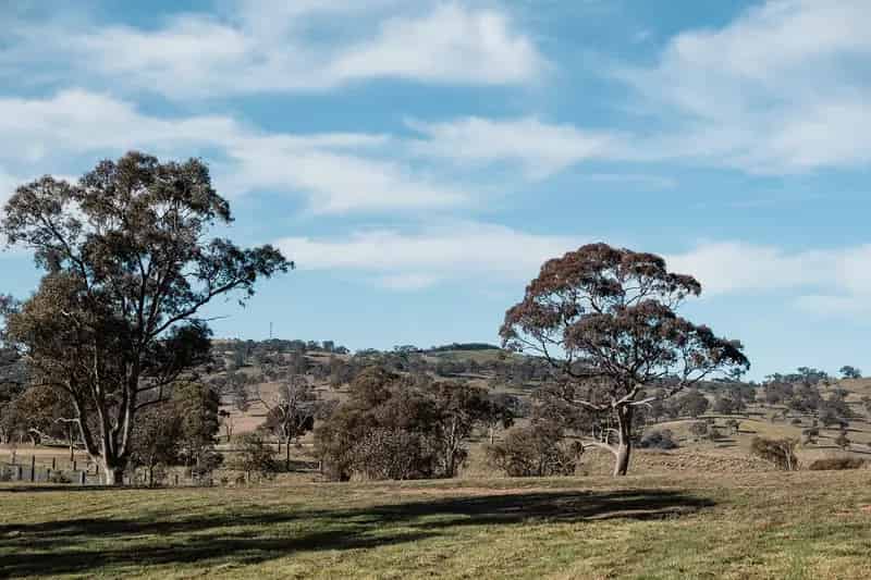 Rural property For Rent , Sutton, New South Wales