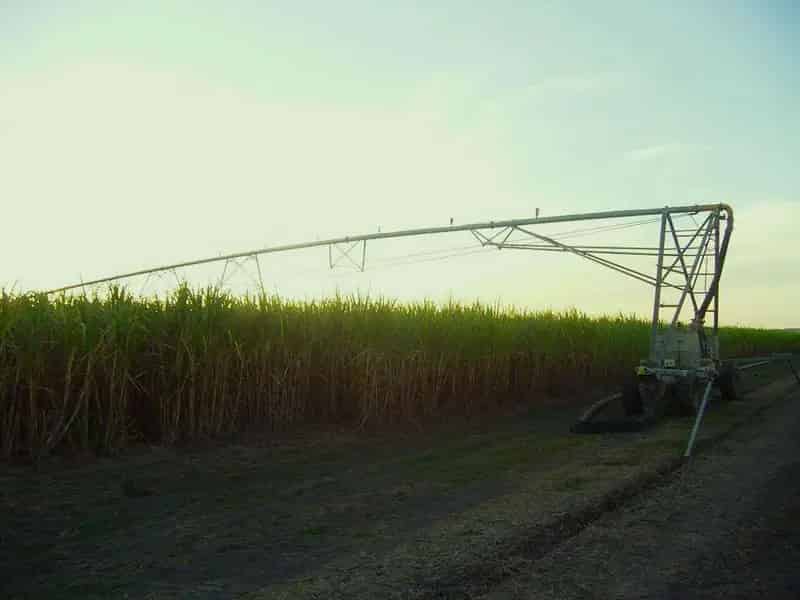 Rural property For Sale , Mackay Regional, Queensland