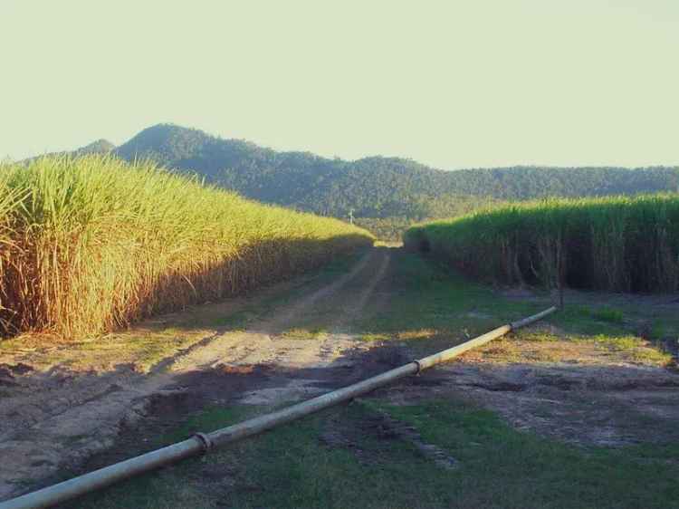 Rural For Sale in Mackay Regional, Queensland