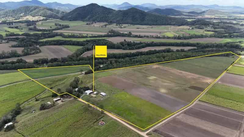 Buy Grazing Lifestyle Property in Pioneer Valley with Renovated Homestead
