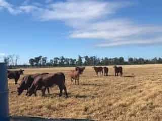 Goondiwindi. Position. Fencing. Water. Soil. Access
