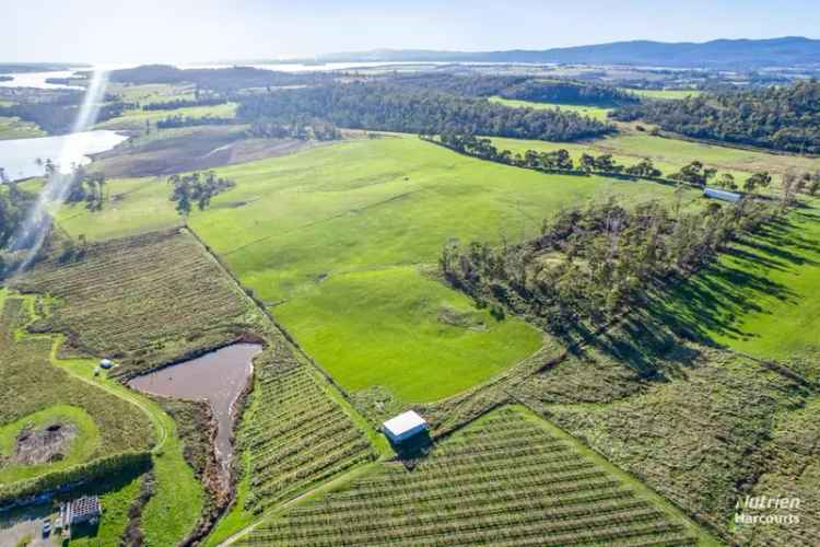 For Sale Premium Rural Property in Tamar Valley with Horticultural Features