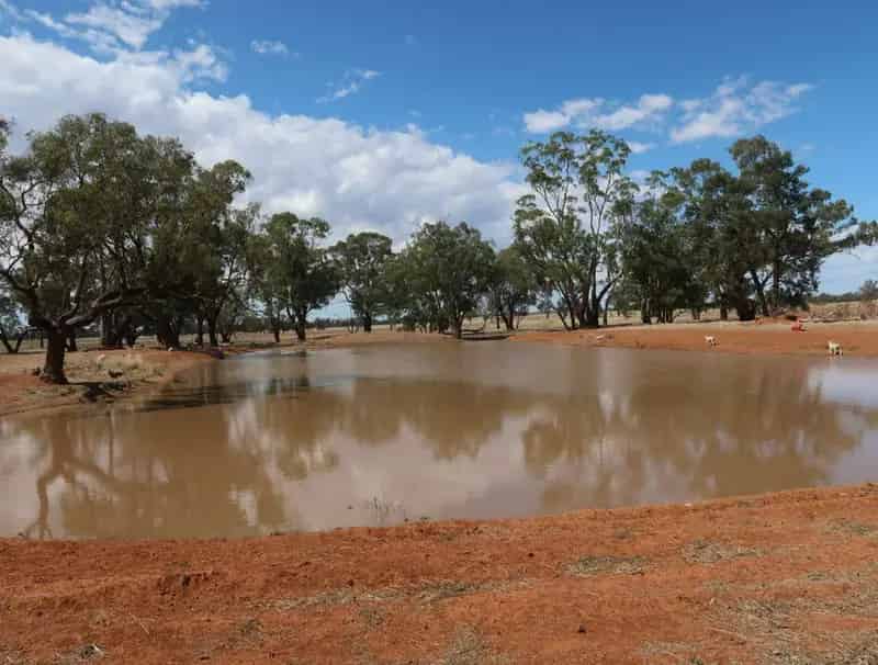 Rural property For Sale , Coolamon, New South Wales