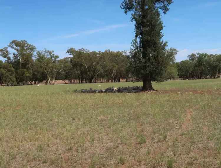  For Sale in Coolamon, New South Wales